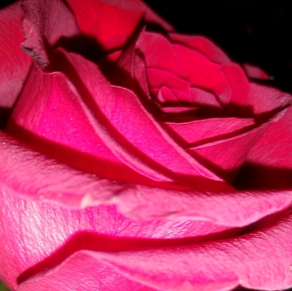 Meet your Posher, Rubi